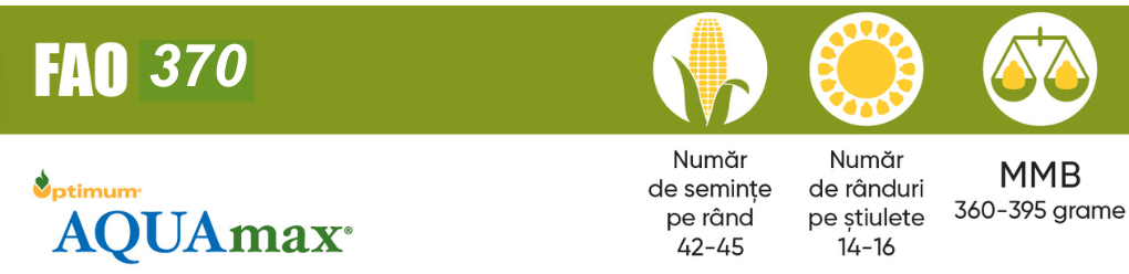 seminte-de-porumb-p9975