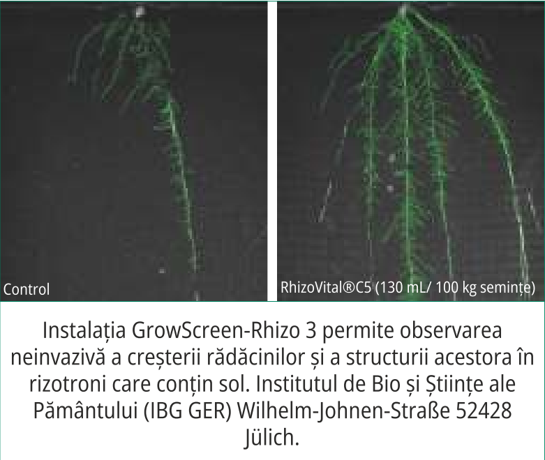 RhizoVital