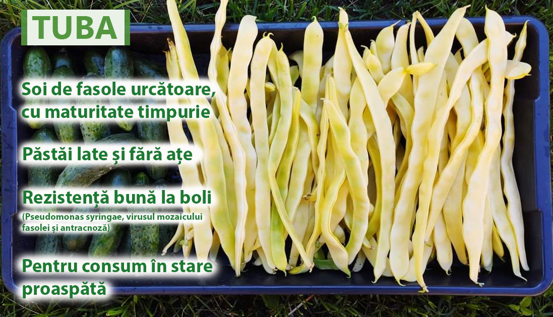 SemintePlante.ro