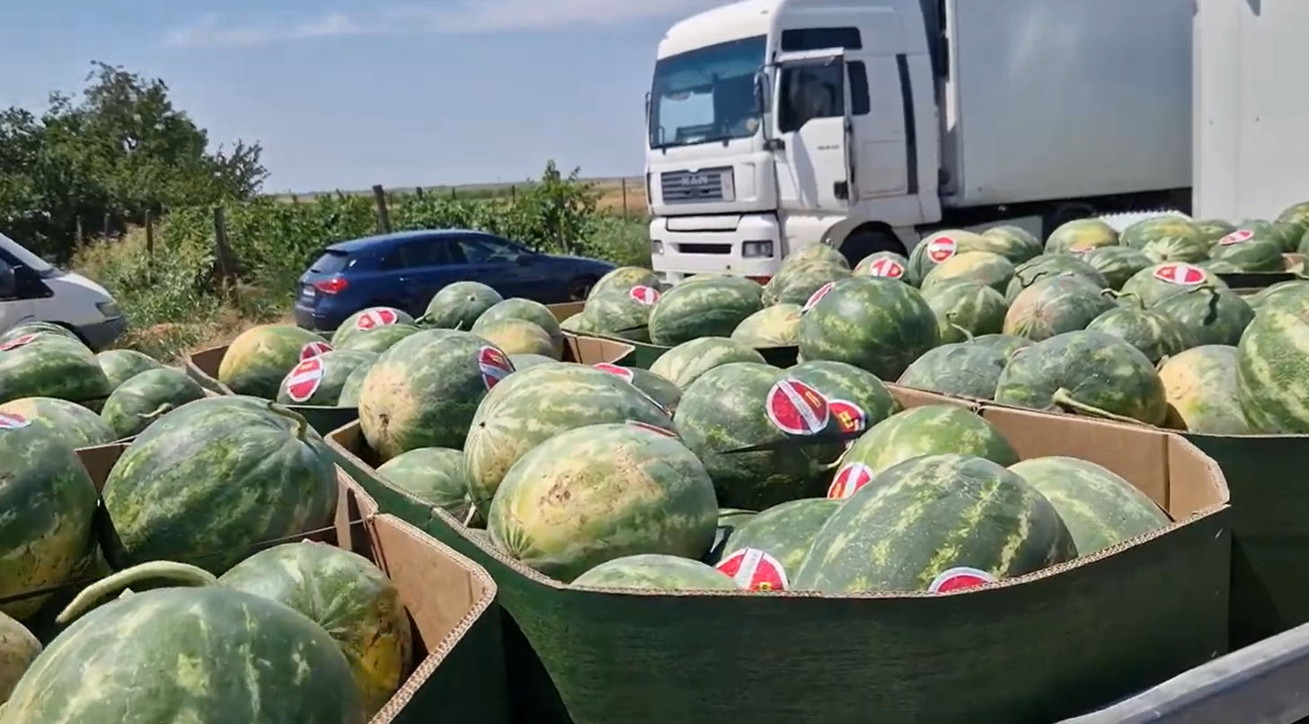 Seminte de pepene Bottle Rocket F1, hibrid seedless