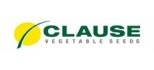 Clause