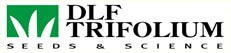 DLF Trifolium