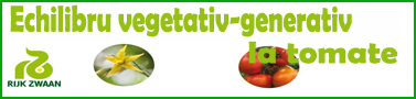 Echilibru vegetativ-generativ la tomate