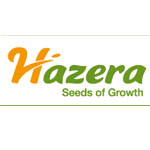 Seminte de legume Hazera Seeds