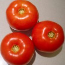 Seminte de tomate Primadona F1