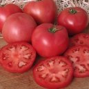 Seminte de tomate Fenda