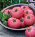 Seminte de tomate roz