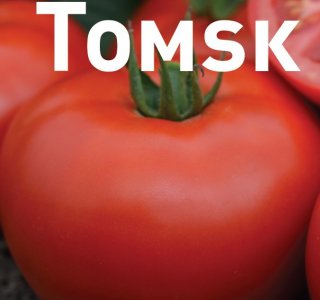 Seminte de tomate Tomsk