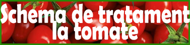 Schema de tratament la tomate
